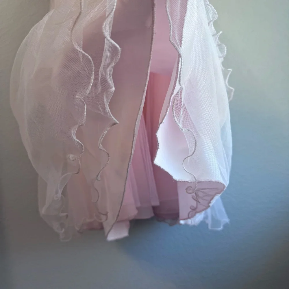 Chantilly Place Sleeveless Blush-Pink Floral Waist Tulle Gown for Girls. Size 5. - Picture 5 of 17